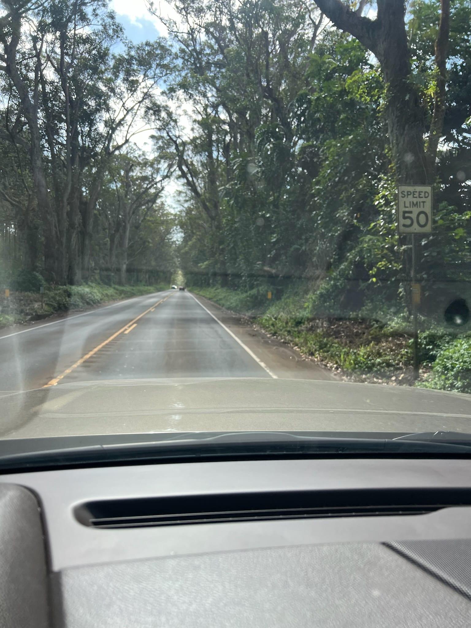 A Poipu Day Trip from Princeville: Beaches, Turtles & the Drive