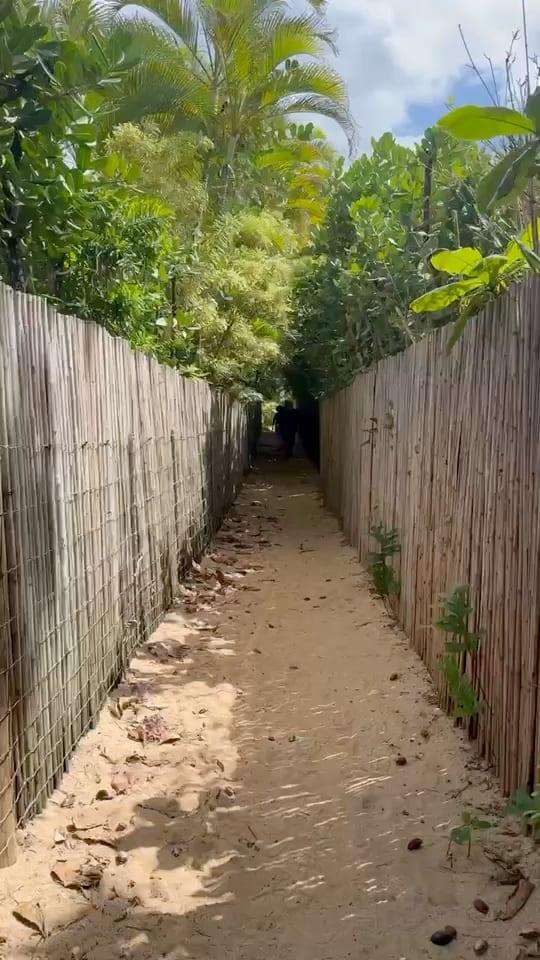 Narrow sandy access path lined with palms and fencing on the way to Tunnels Beach
