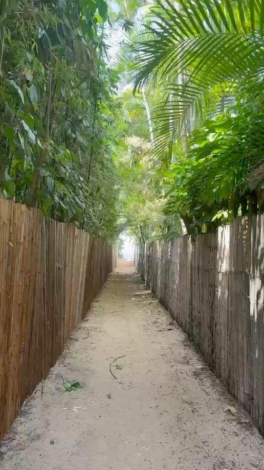 Tunnels Beach Snorkeling From Princeville: Best Time, Parking, Safety